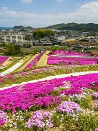 Tokushima – Dance, Mountains, and Cultural Harmony in Shikoku