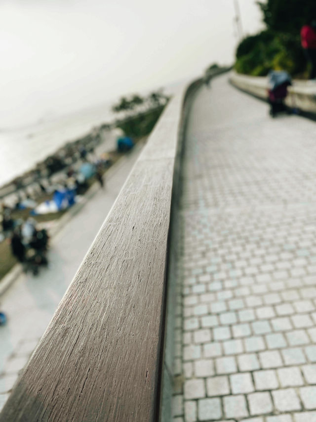 西九文化區的藝術之旅🎨🏙️