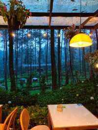 Lapinea Cafe & Resto