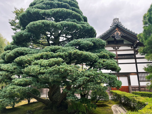 銀閣寺｜神奇視覺錯感銀沙灘！