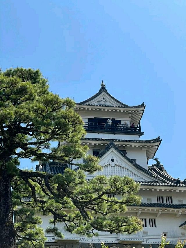 Kochi Castle – A Timeless Treasure of Shikoku