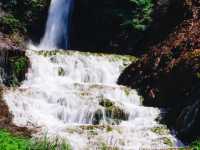 Golden Waterfall