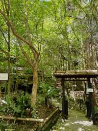 【福岡/朝倉】森の中にある蕎麦屋