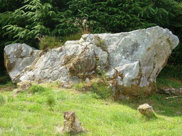 Altamont Gardens – A Romantic Treasure in County Carlow