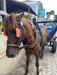 バリのギリ島は馬がたくさん