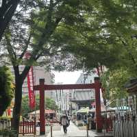 ⛩️ 名古屋の心に響く祈りの場所：大須観音とその門前町 🏮🕊️