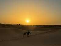 A Magical Journey into the Sahara 🐪🌍 