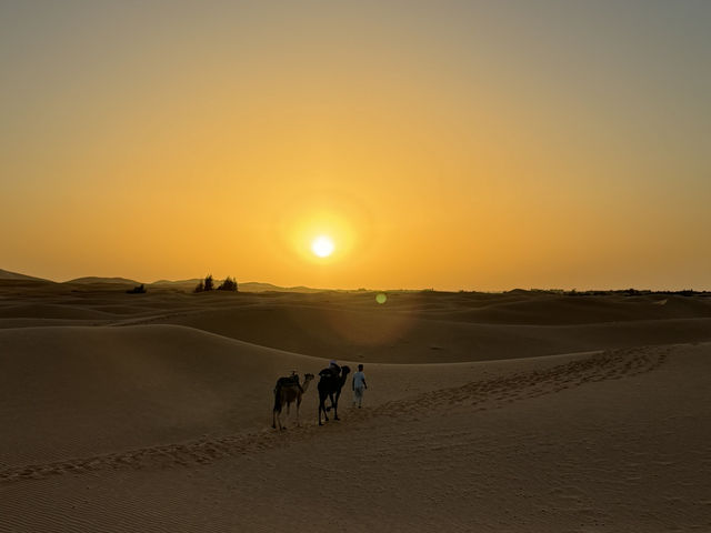 A Magical Journey into the Sahara 🐪🌍 