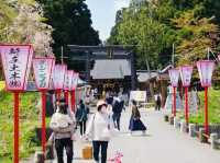 The story behind the Shinjō Castle Ruins