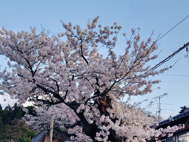 The amazing Oyama Park