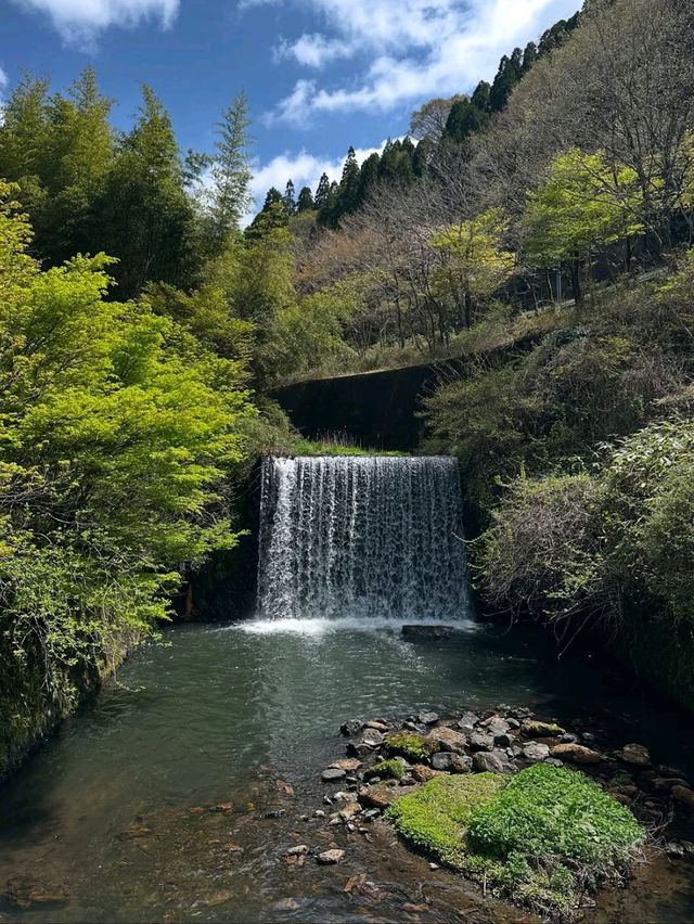 Easy Breezy Nature Escape