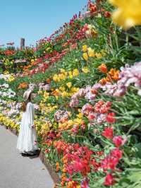【 期間限定開催！】300万本ものチューリップに囲まれる夢の世界🌷🌈