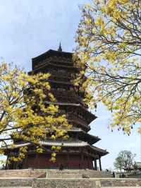 Crafted from Wood, Carved by History: The Yingxian Pagoda