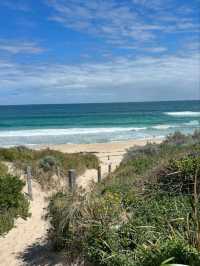 🌊☀️ Sun, Sand & Serenity: Cottesloe Beach Bliss in Perth! 🏖️🐚