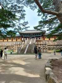 경주 당일여행 코스 추천!