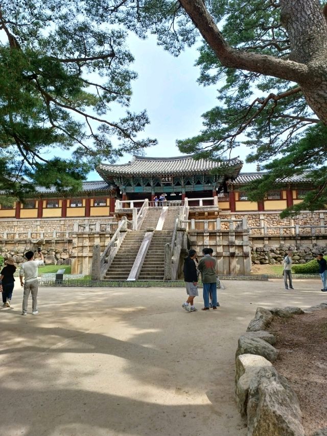 경주 당일여행 코스 추천!