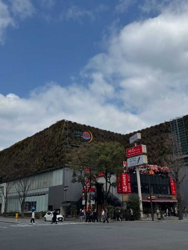 후쿠오카(Fukuoka) 100% 즐기기 추천 코스(Best 5)