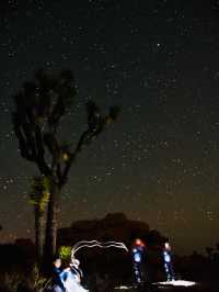 🇺🇸Joshua Tree
