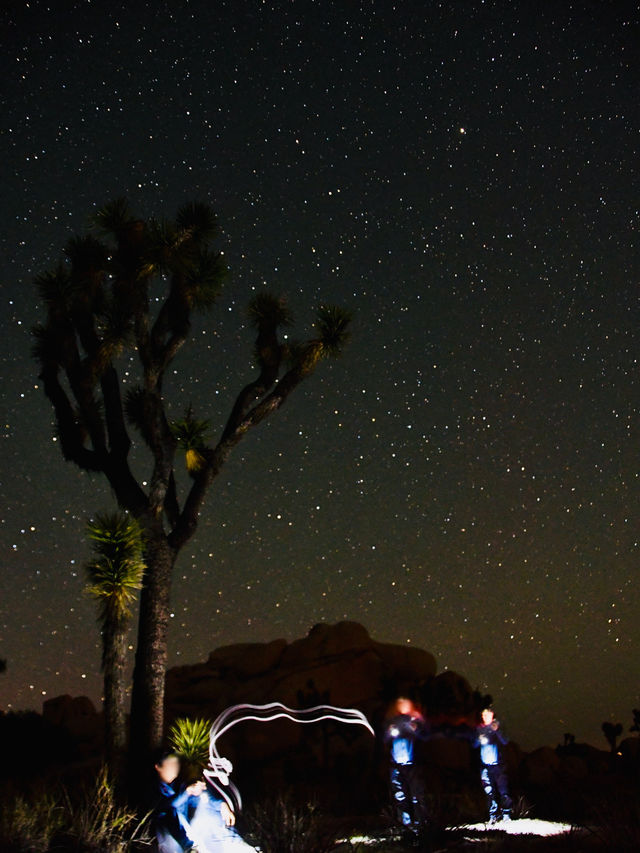 🇺🇸Joshua Tree