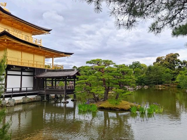 京都 北山鹿苑寺(金閣寺)