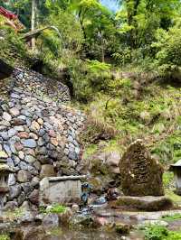 京都｜800年歷史53公尺高大杉木 由岐神社的鎮邪傳說