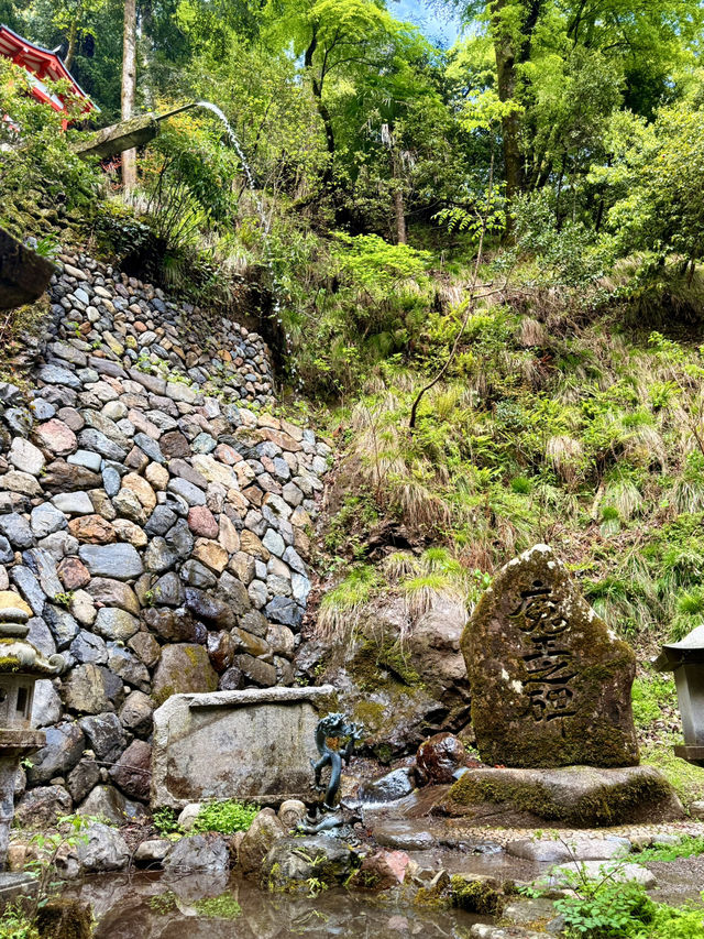 京都｜800年歷史53公尺高大杉木 由岐神社的鎮邪傳說