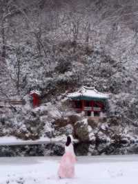 하얀 눈 가득 내려 절경을 이루는 청주 백석정❄️🩵