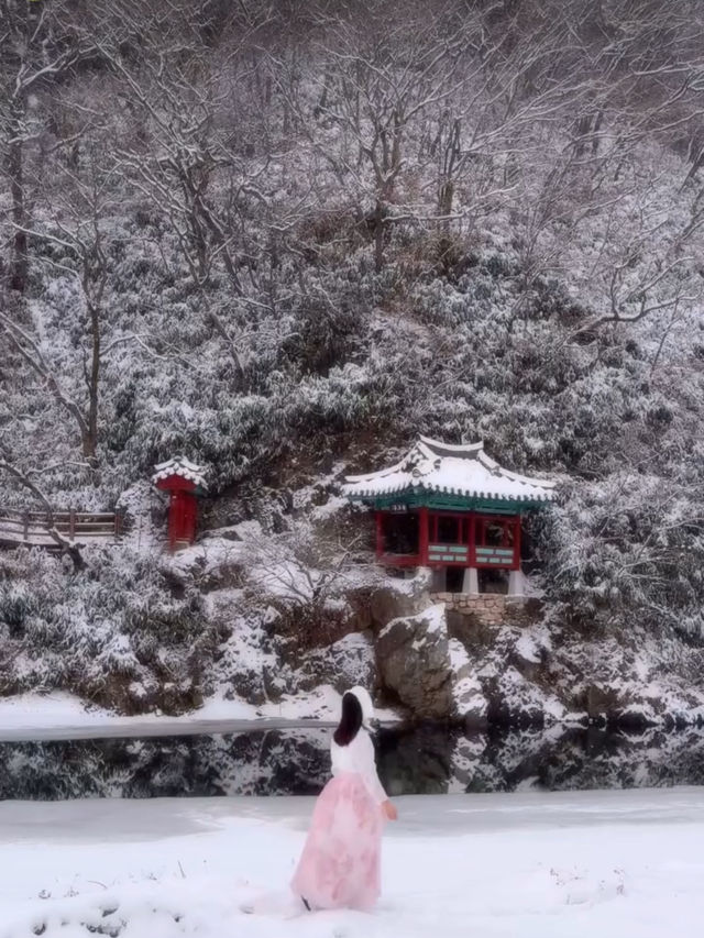 하얀 눈 가득 내려 절경을 이루는 청주 백석정❄️🩵