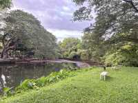 Villa La Flora Kaeng Krachan
