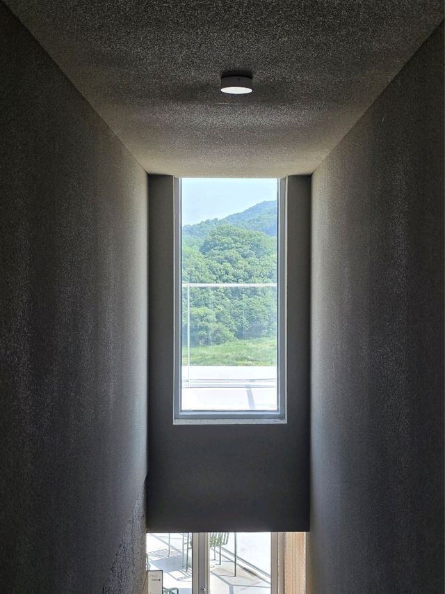 감성 충전 완료! 제천 콘크리트월, 진짜 예술이야🎨☕