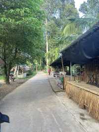 🌳 ต้นไม้ยักษ์ บ้านไร่ อุทัยธานี