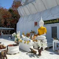 🕍 เที่ยวปากช่องต้องไปมู “วัดพระขาว”