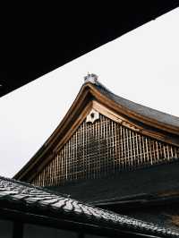 建仁寺的藝術與禪意，讓京都之旅更添靈性與文化深度！