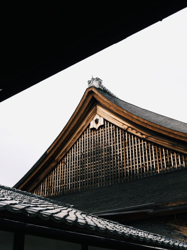 建仁寺的藝術與禪意，讓京都之旅更添靈性與文化深度！