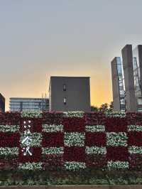 【金沢・白川郷1泊2日旅】2日目スケジュール🗓️