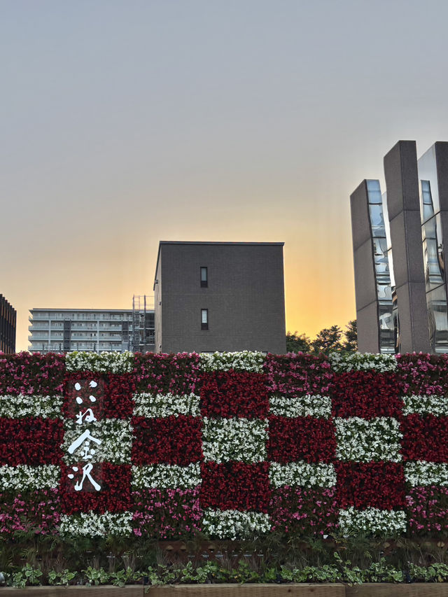 【金沢・白川郷1泊2日旅】2日目スケジュール🗓️