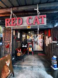 ☕ : Red Cat Cafe. คาเฟ่ฉะเชิงเทรา