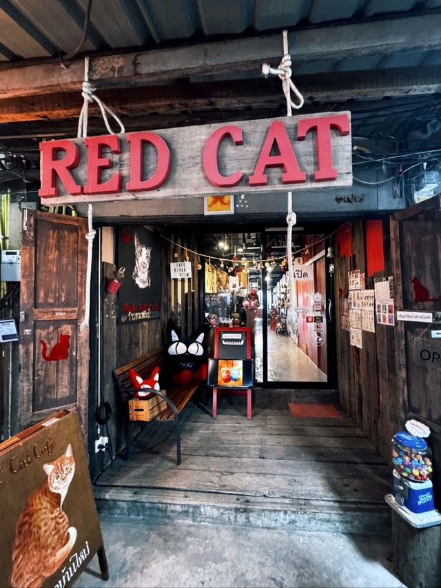 ☕ : Red Cat Cafe. คาเฟ่ฉะเชิงเทรา