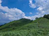 Rolling Hills & Feels