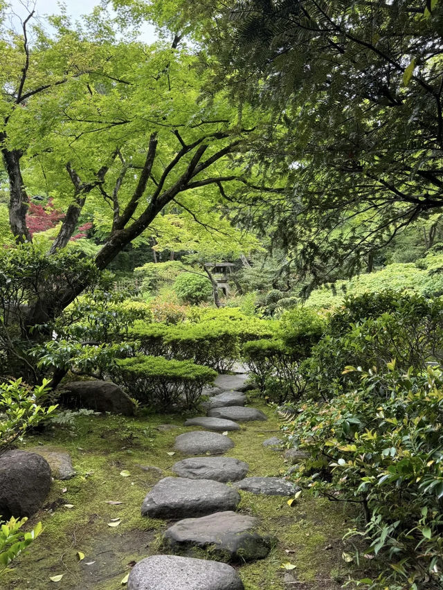 A Serene Harmony of Art & Nature — My Visit to Nezu Museum, Tokyo