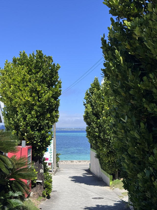 美ら海水族館に行く方必見‼️