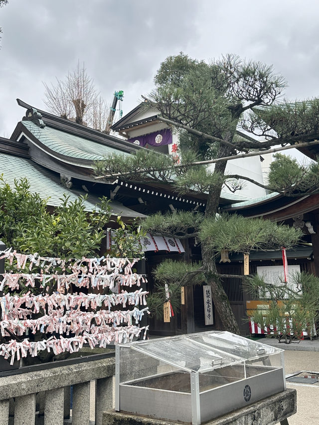 ศาลเจ้าศักดิ์สิทธิในฟุกุโอกะ 🇯🇵
