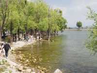 🌊✨ Erhai Lake – A Must-Visit Gem in Dali, Yunnan! ✨🌊