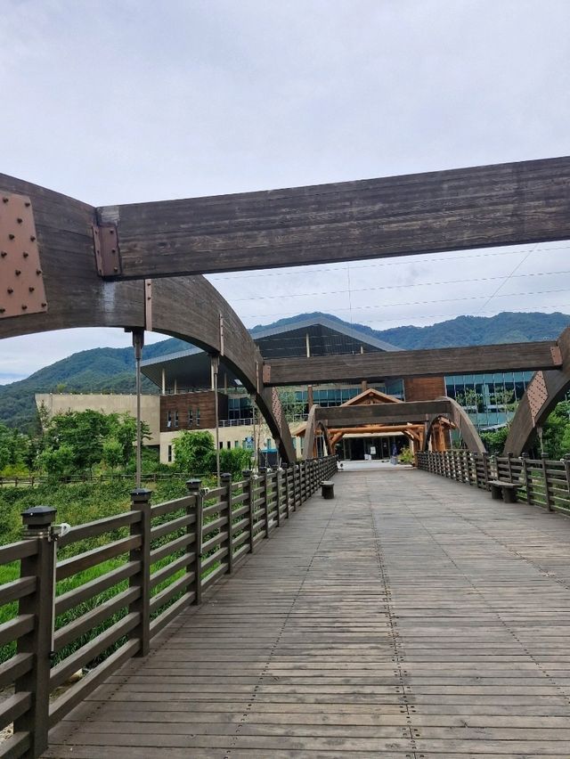 엄청난 규모의 수목원, 국립백두대간 수목원🌳
