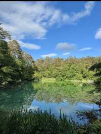🏞【福島・裏磐梯】五色沼湖沼群｜色が変わる不思議な湖をめぐる“癒しのネイチャートリップ”
