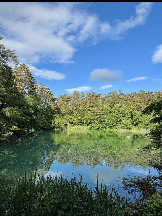 🏞【福島・裏磐梯】五色沼湖沼群｜色が変わる不思議な湖をめぐる“癒しのネイチャートリップ”