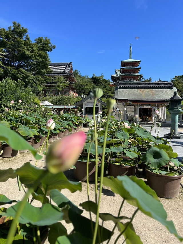 極彩色の中で自分と向きあう@耕三寺(広島)