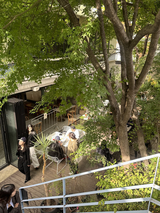 🌳 이태원 숲뷰 카페 후기 ☕️