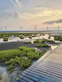 🌅 **Gaomei Wetland Day Trip Guide**