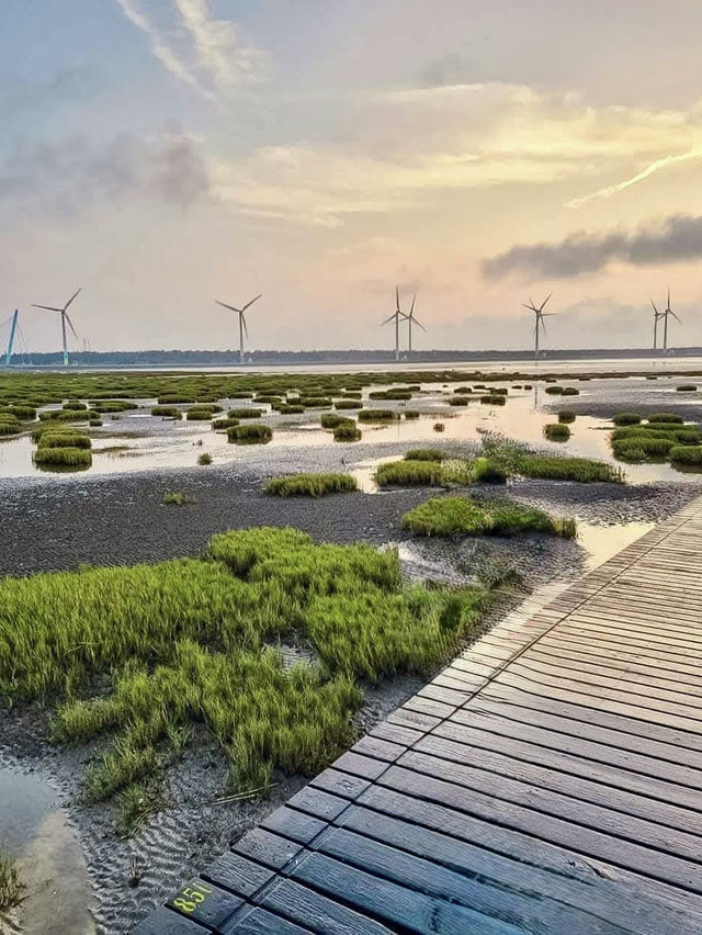 🌅 **Gaomei Wetland Day Trip Guide**
